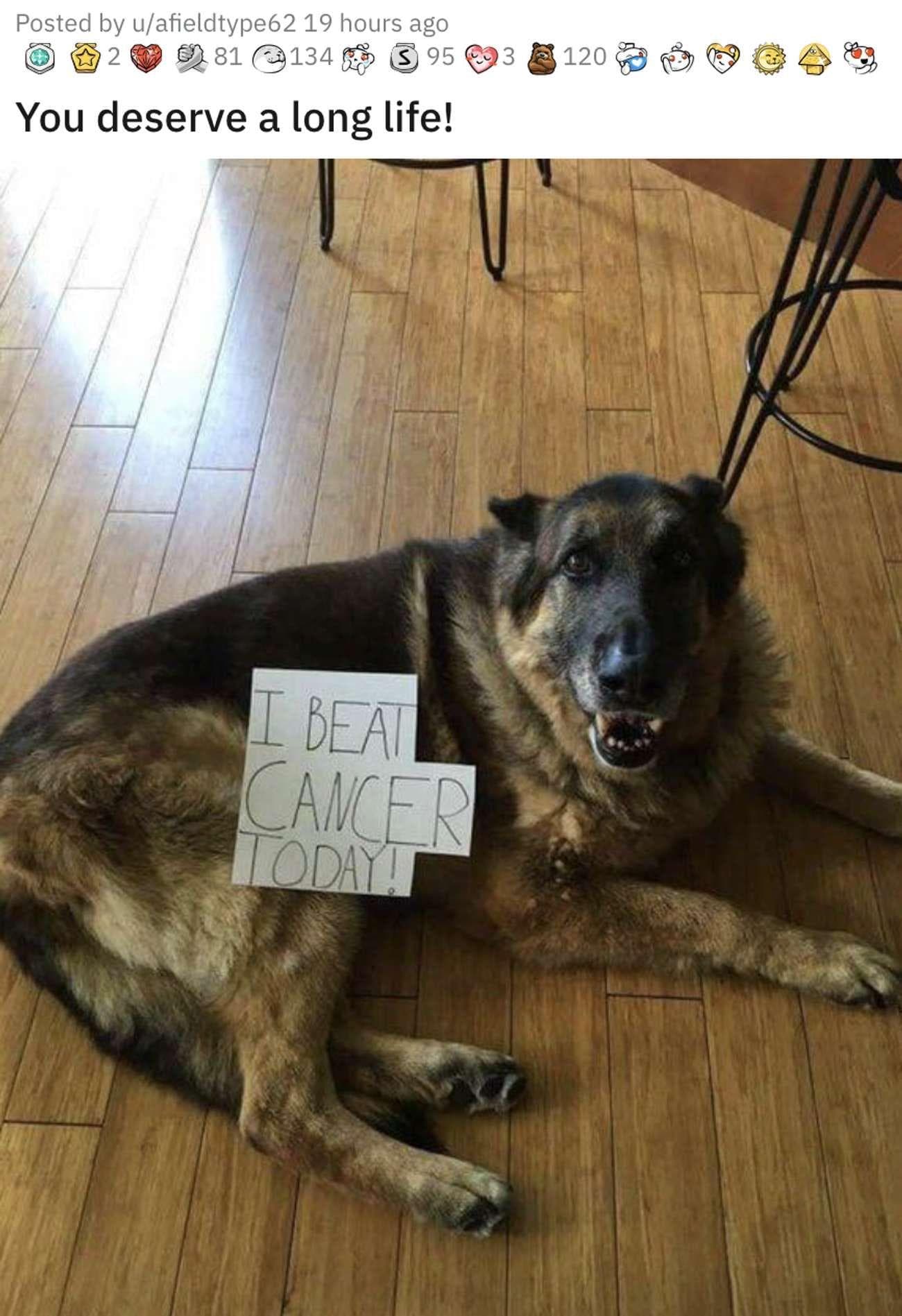 La sonrisa lo dice todo