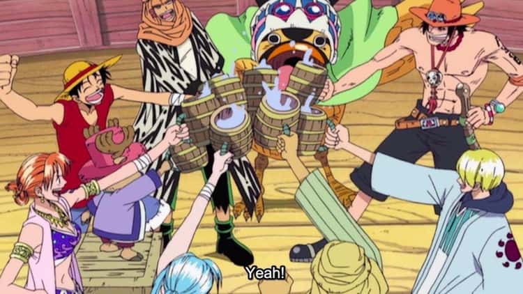 15 Interesting Things You Didn't Know About One Piece