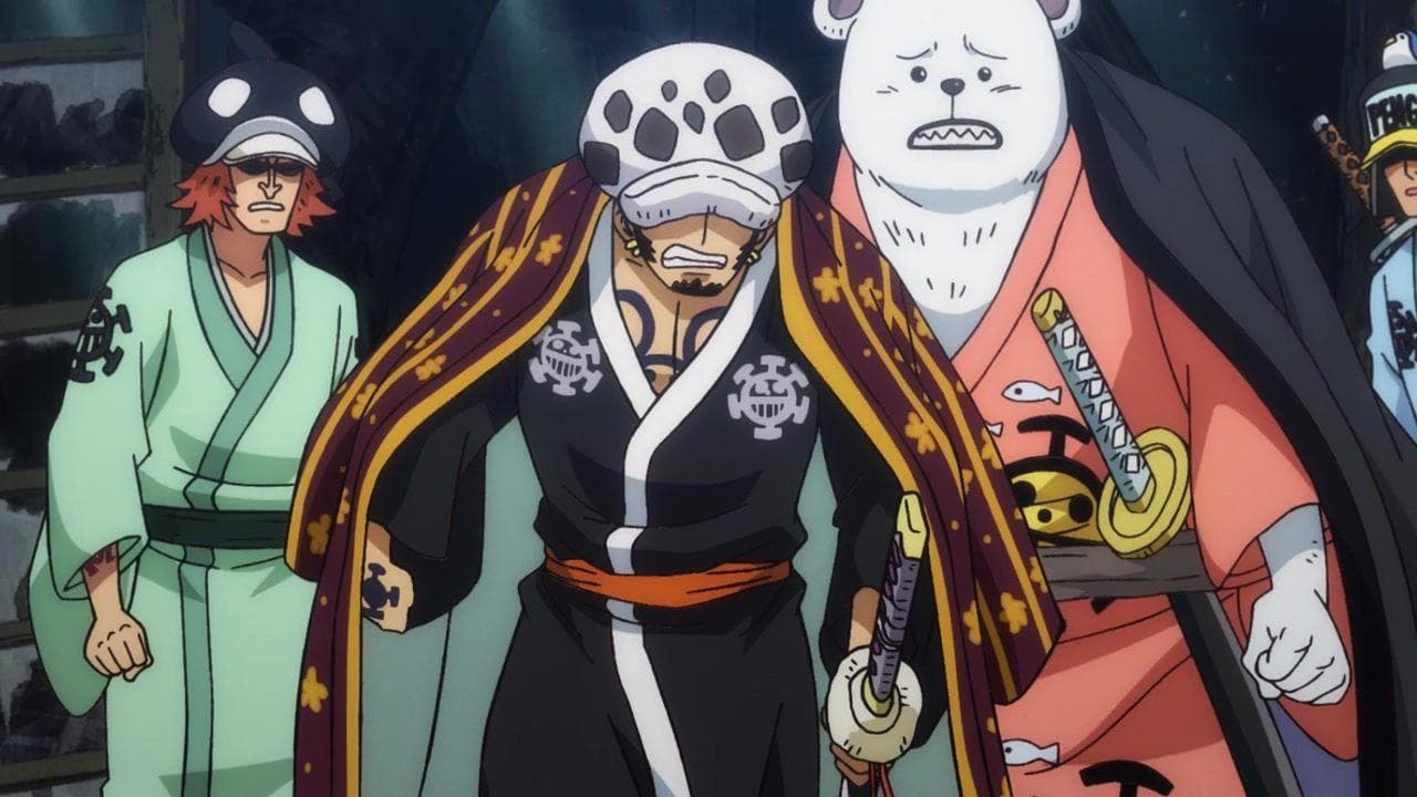 15 Things You Didn T Know About Trafalgar Law