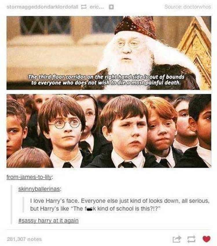 Harry Potter: 9 Hilarious Memes That Prove Albus Severus' Name Is