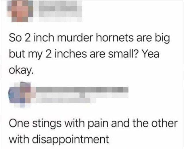 Photo: u/Just_a_good_boy / Reddit