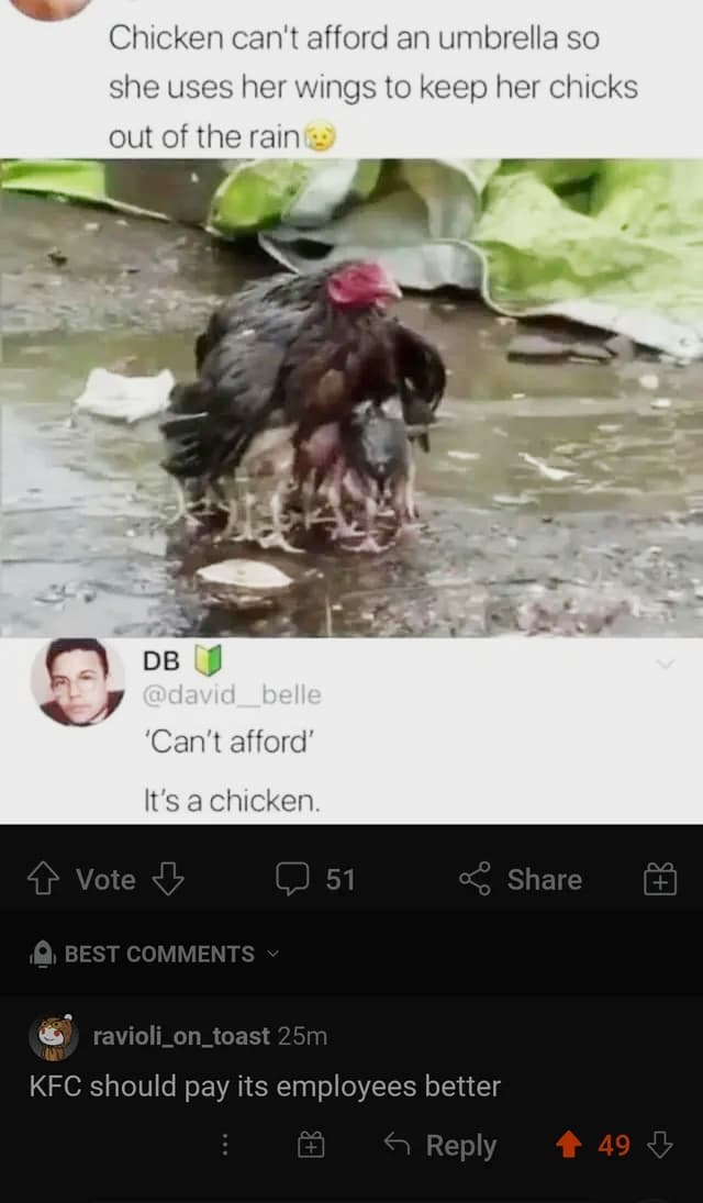 Photo: u/AshuBK786 / Reddit