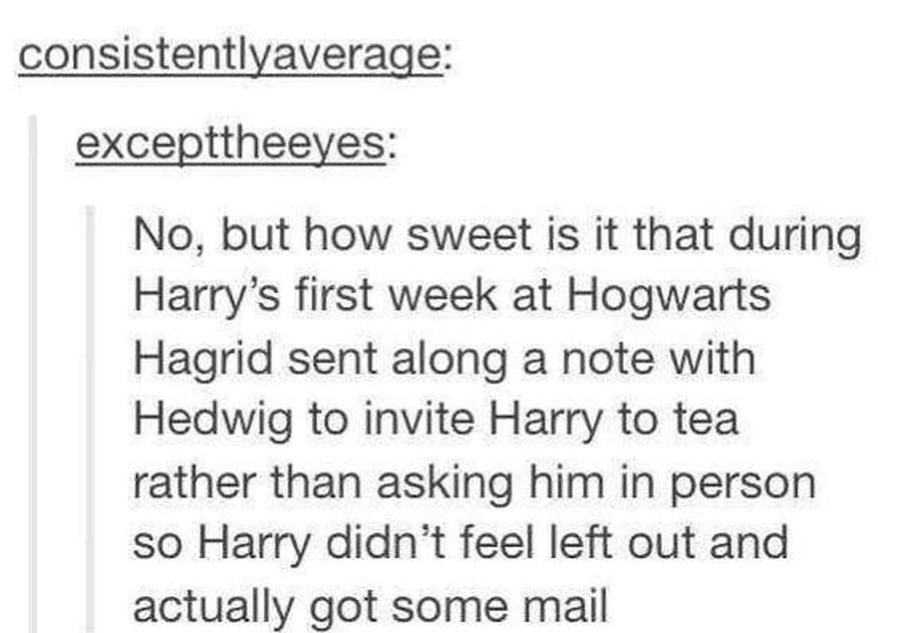 Hagrid Wrote To Harry Because He Had No One To Receive Letters From