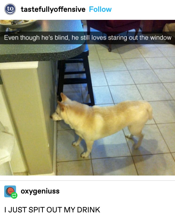 Looking Out The Window