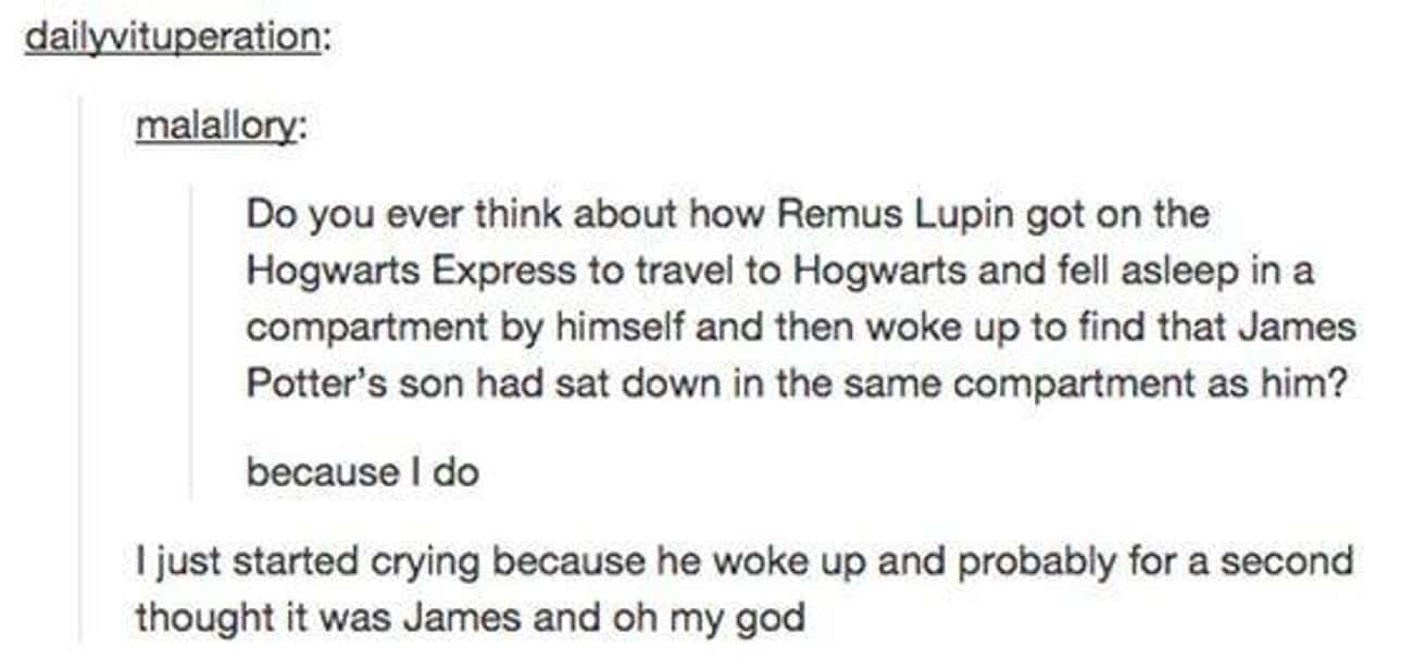 Remus Didn't Expect To See James's Likeness In Harry