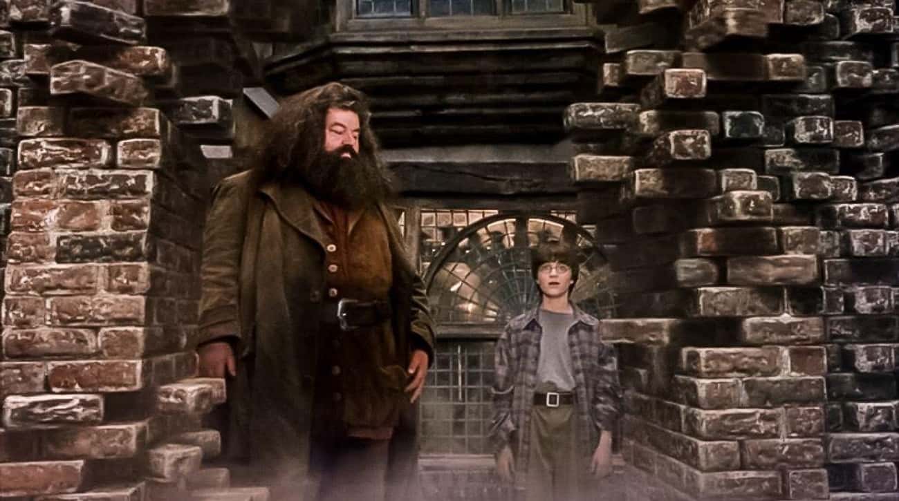 The Leaky Cauldron Received A Special Dispensation From The Minister Of Magic To Host Diagon Alley's Entrance
