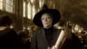 Minerva McGonagall's Brother Was Slain By Death Eaters To Provoke Fear In The Public on Random Things You Didn't Know About The First Wizarding War