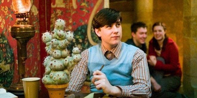 A Complete Timeline Of Hogwarts History