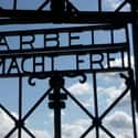 German Students Visit Concentration Camps, And 'Schindler's List' Is A Common Teacher's Aid on Random How WWII Is Taught In Various Countries