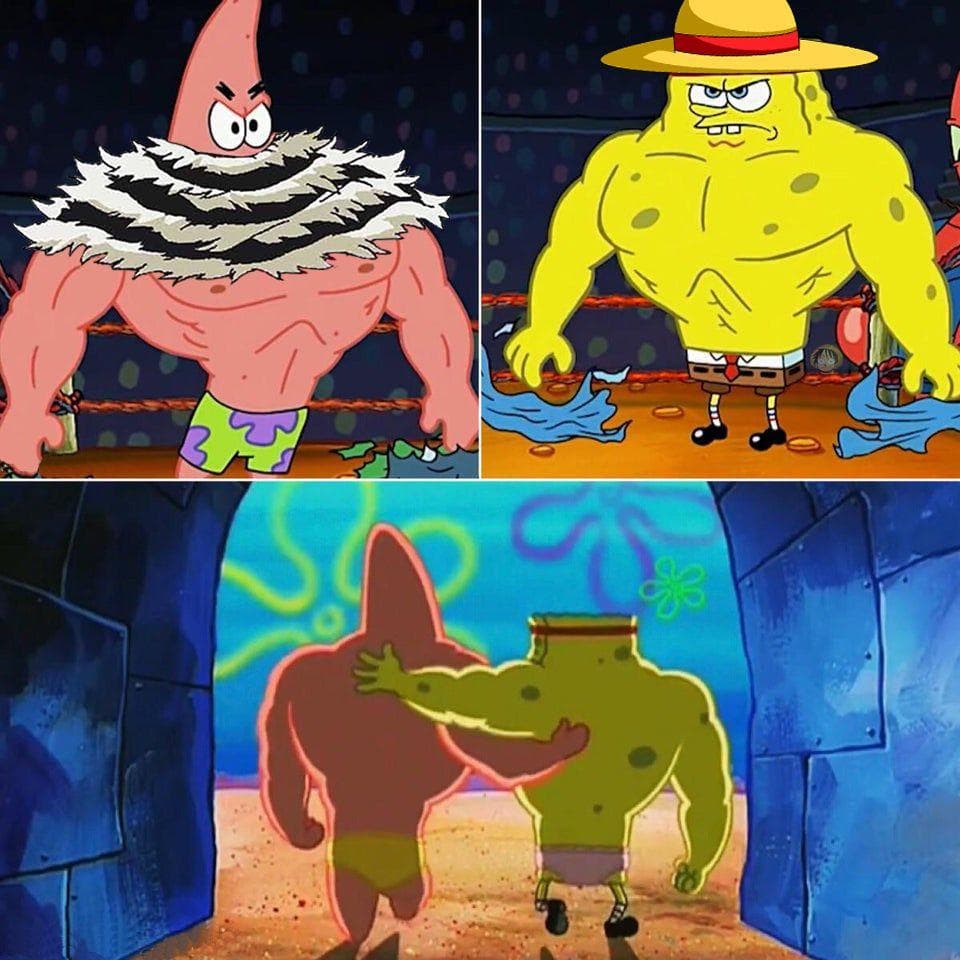 20 Hilarious Luffy Memes That Will Have You Crying From Laughter
