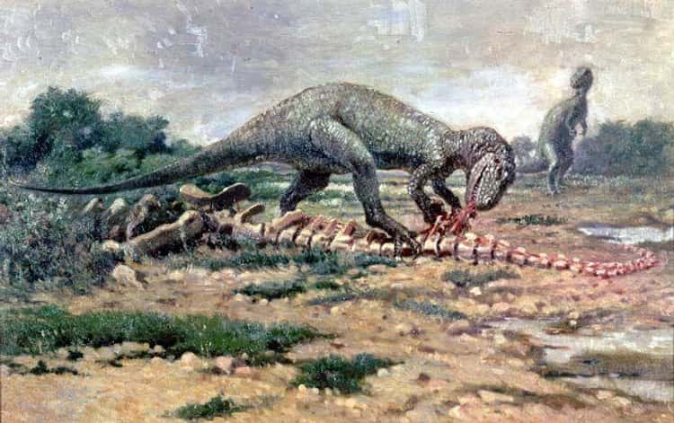 Why Prehistoric Animals Were Huge