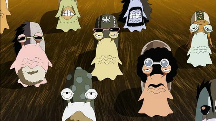 15 Things You Didn T Know About Animals In One Piece