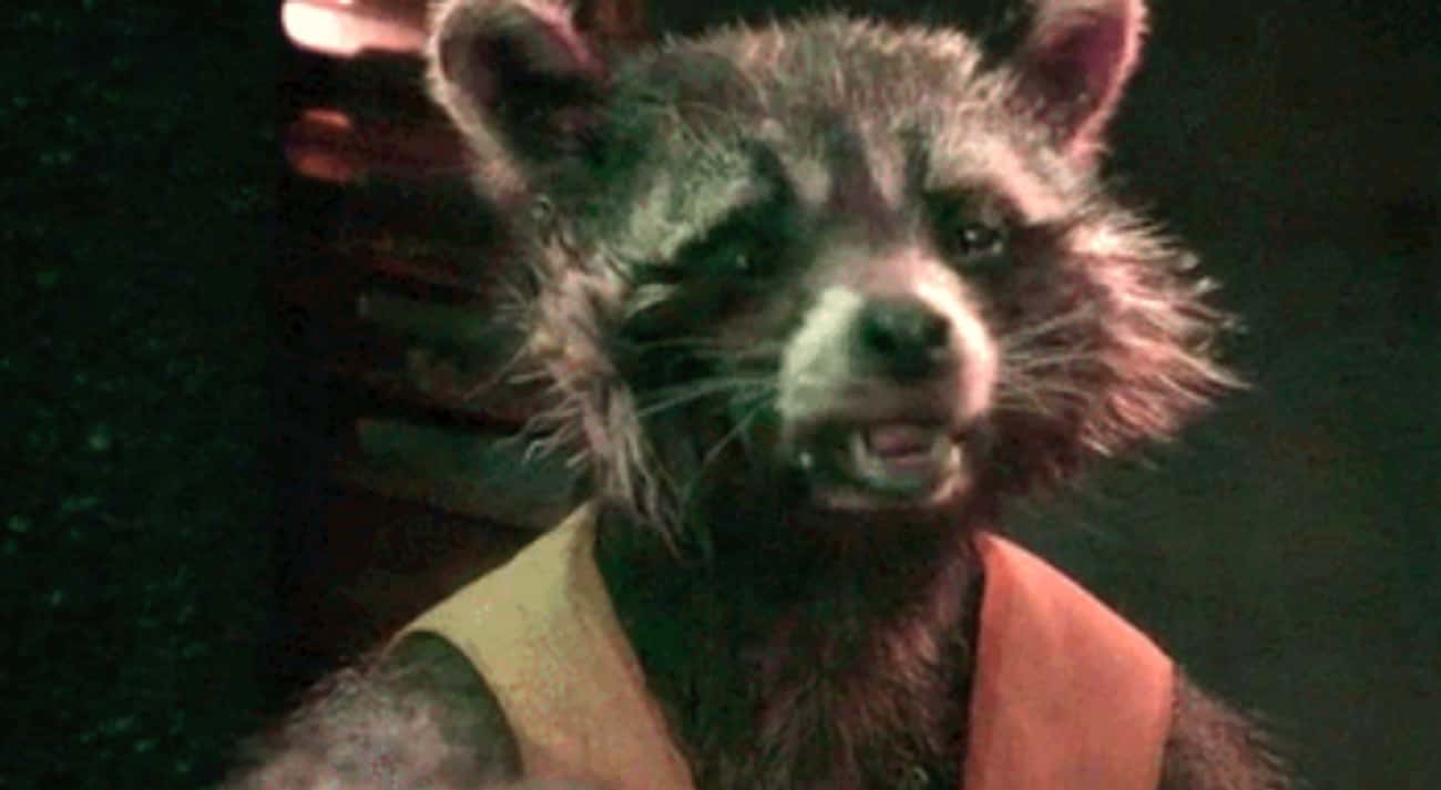 Rocket Has "Bed Head" In 'Guardians Of The Galaxy'