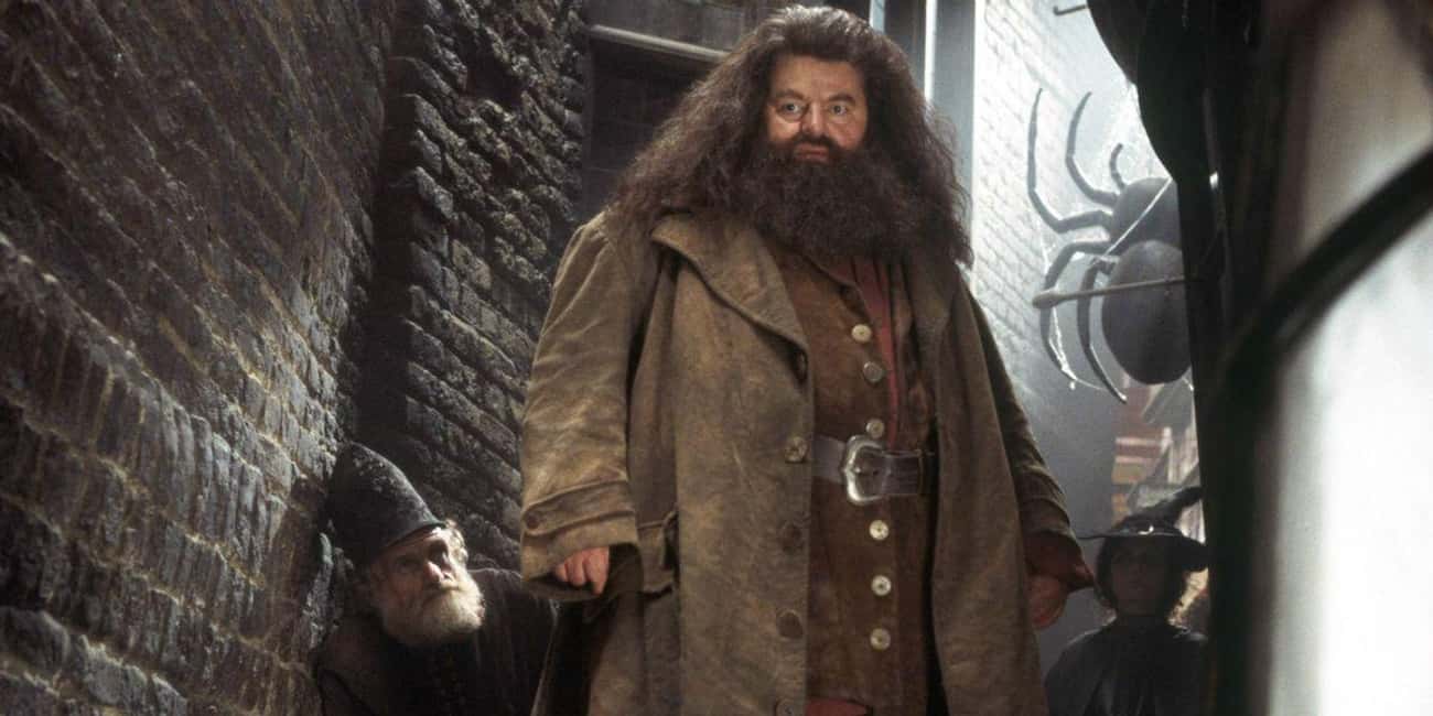 Hagrid Was Secretly Raising Wolf Cubs In His Hut