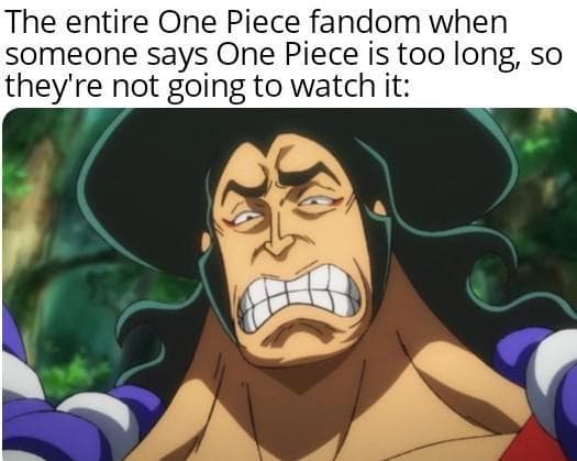 One Piece Memes We Saw This Month That Were Actually Pretty Funny