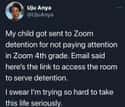 Zoom Detention on Random Brutally Honest Tweets About School Where People Weren't Afraid To Hold Back