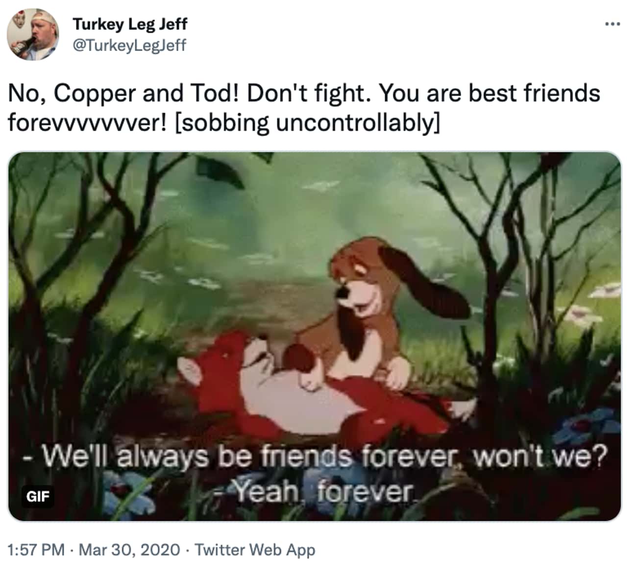 Cooper And Tod Are Best Friends Forever 
