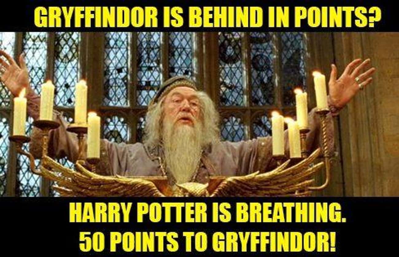 18 Hilarious Dumbledore Memes That Avid Potterheads Will Appreciate