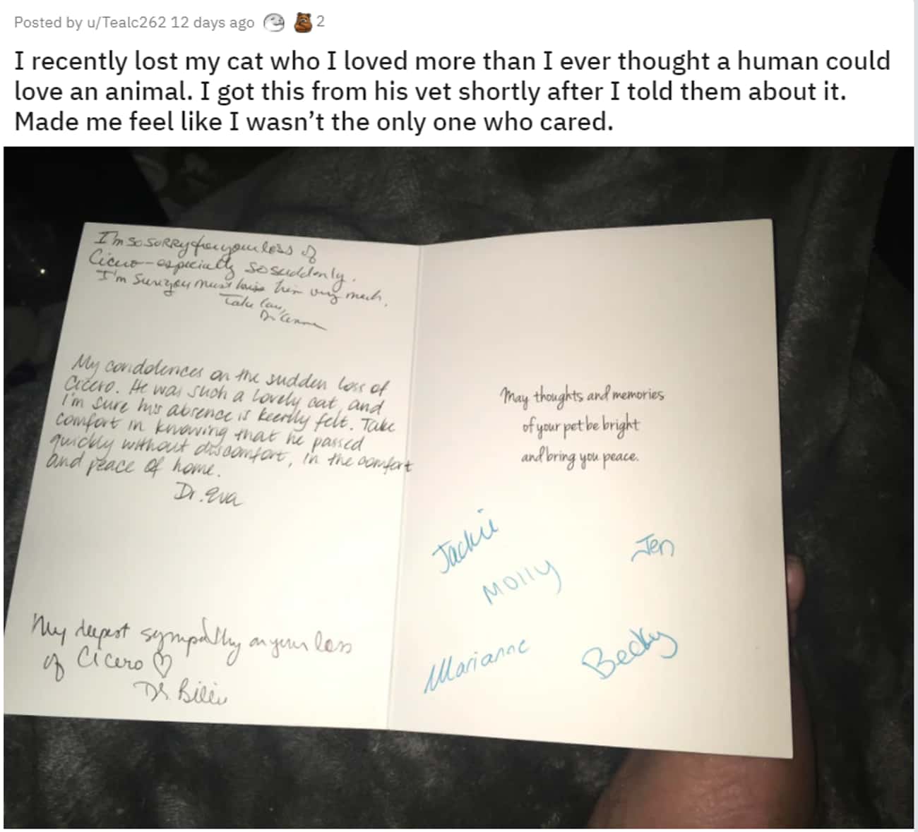 Vet Gives Thoughtful Card To Patient After Pet Dies