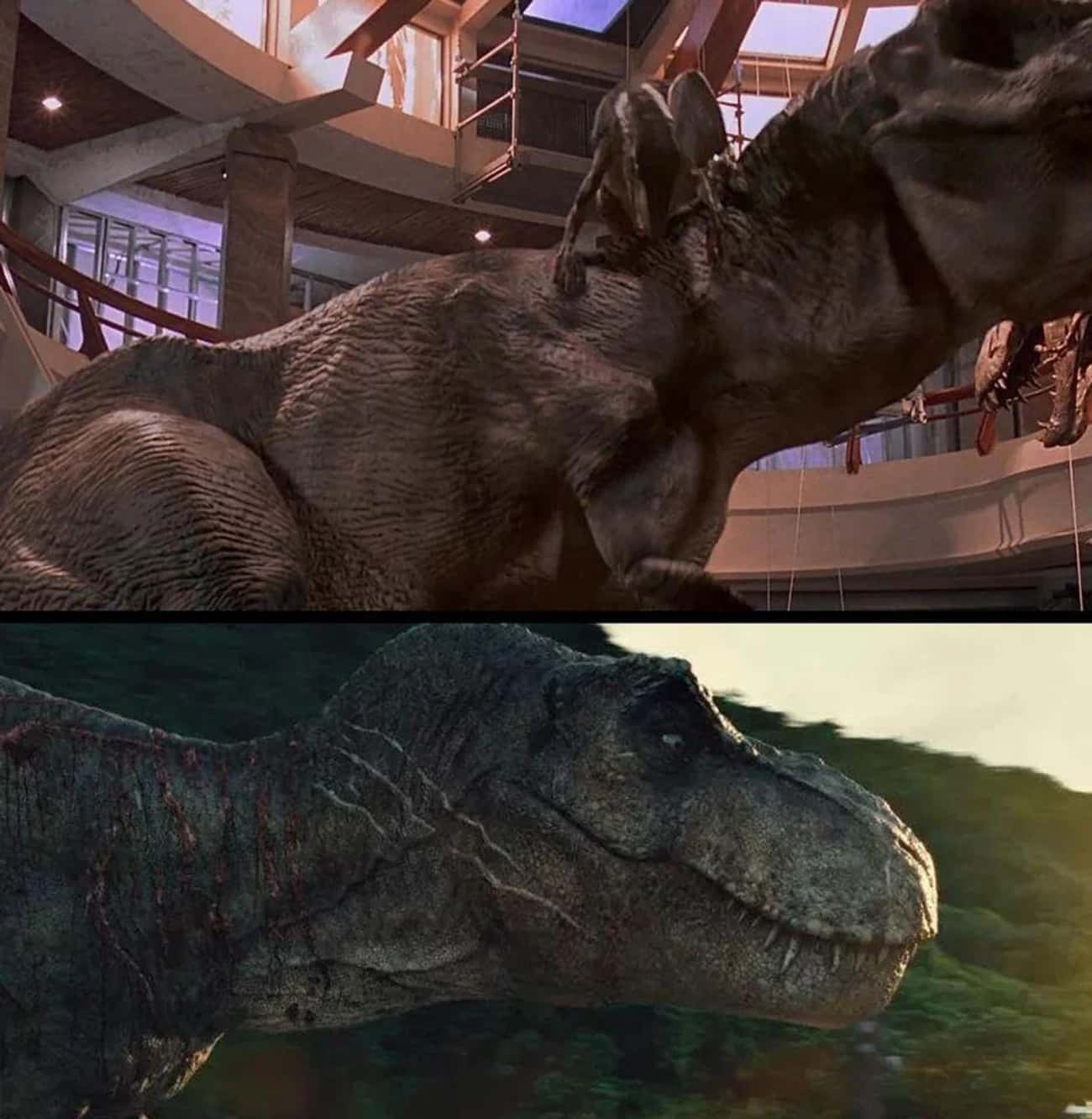 Scars From A Previous Installment In 'Jurassic World'