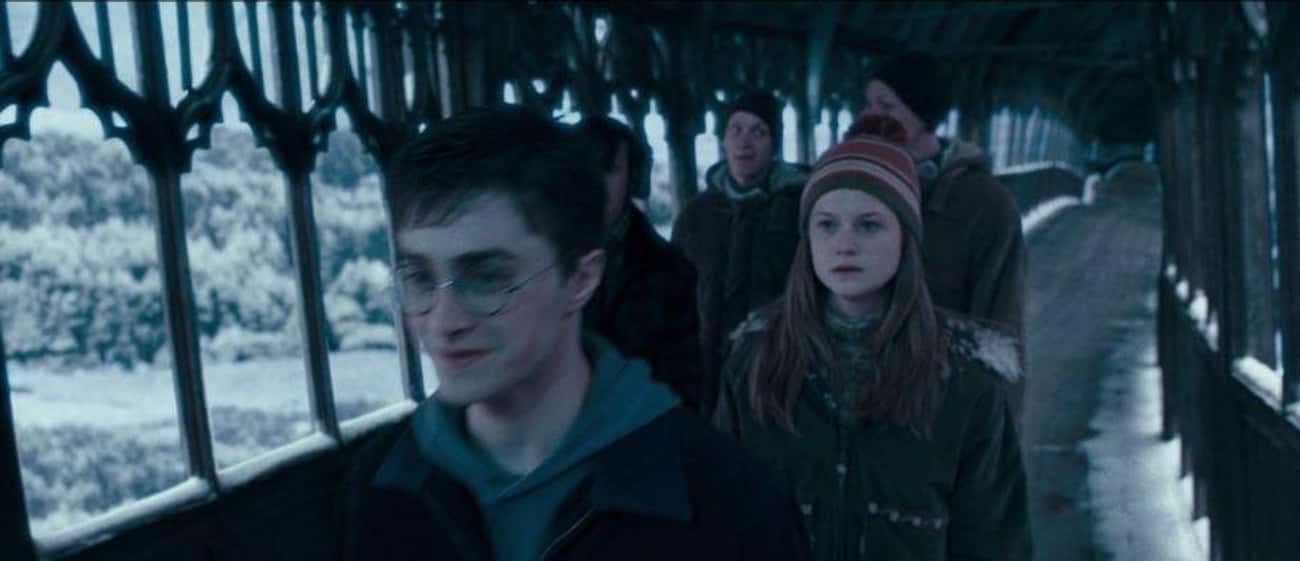 Ginny's Face Falls When Harry Learns About Cho's Affection In 'Order of the Phoenix'