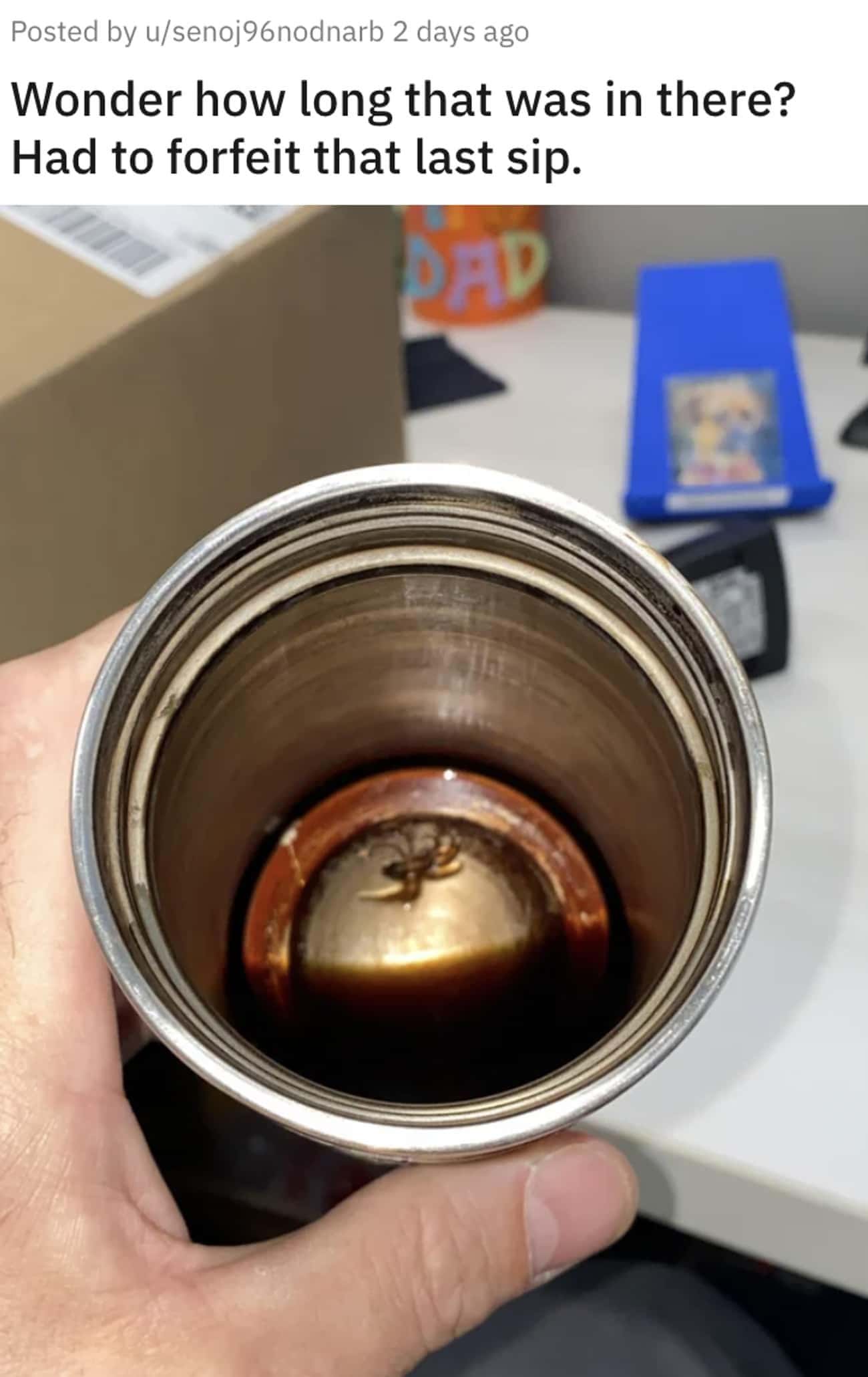 A Scary Surprise At The Bottom Of The Mug