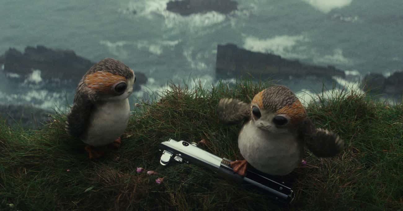 Porgs Were Created As A Workaround For Filming With Endangered Puffins On Skellig Michael Island