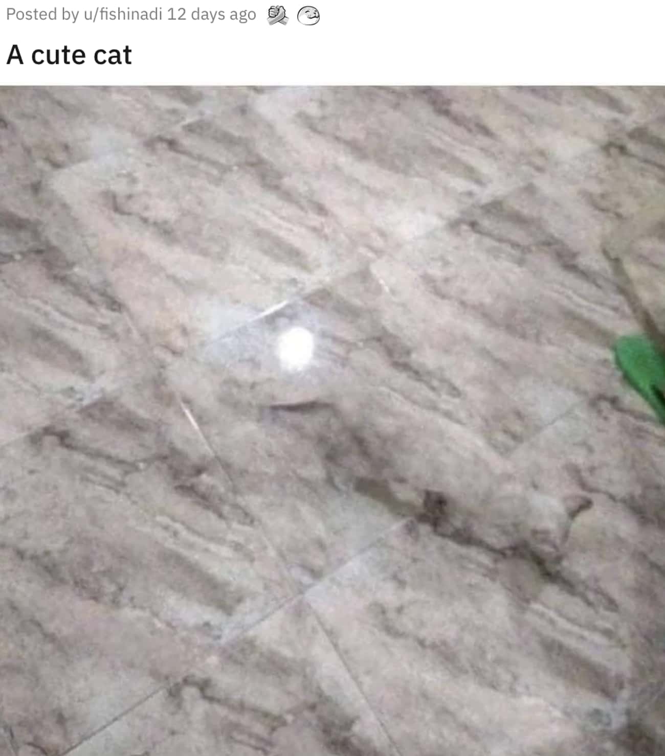 The Fur And The Marble Are A Perfect Match