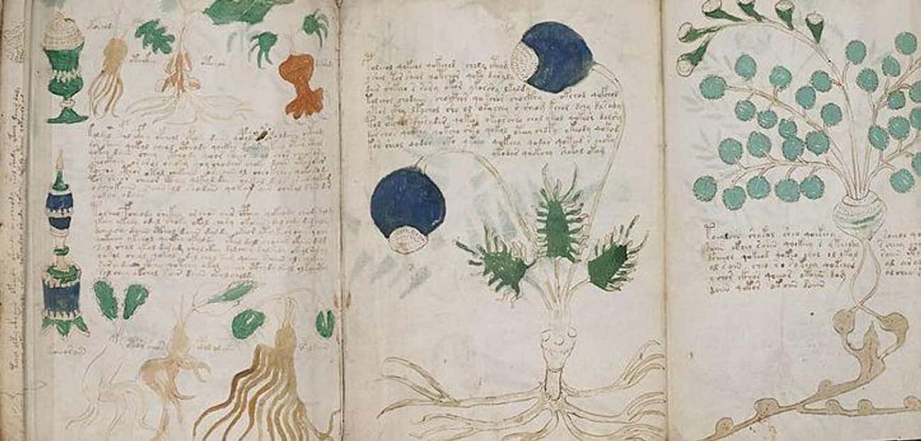What's In The Voynich Manuscript?