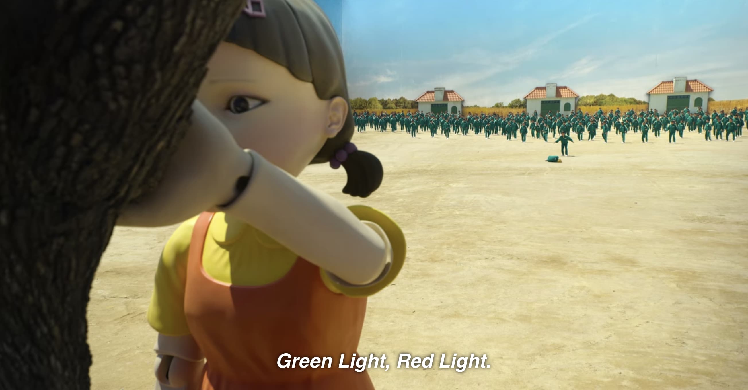 The Hibiscus Flower Has Bloomed