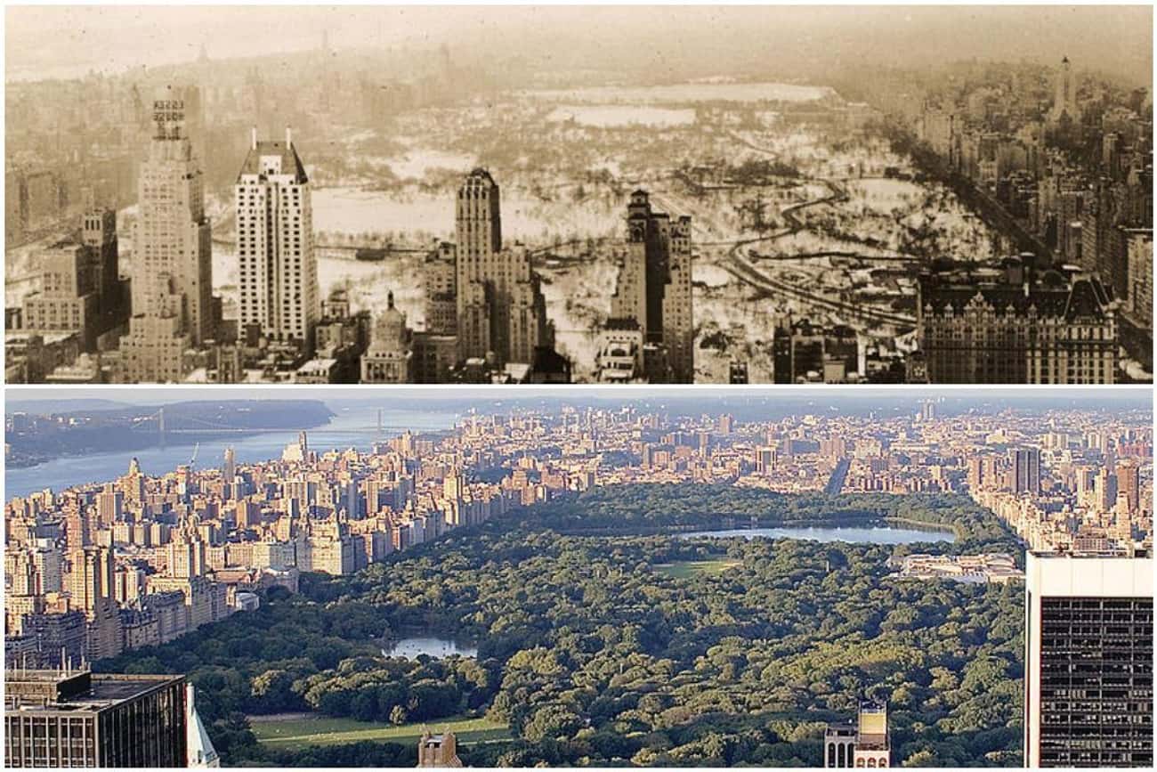View Of Central Park From Rockefeller Center (1936 Vs. 2006)