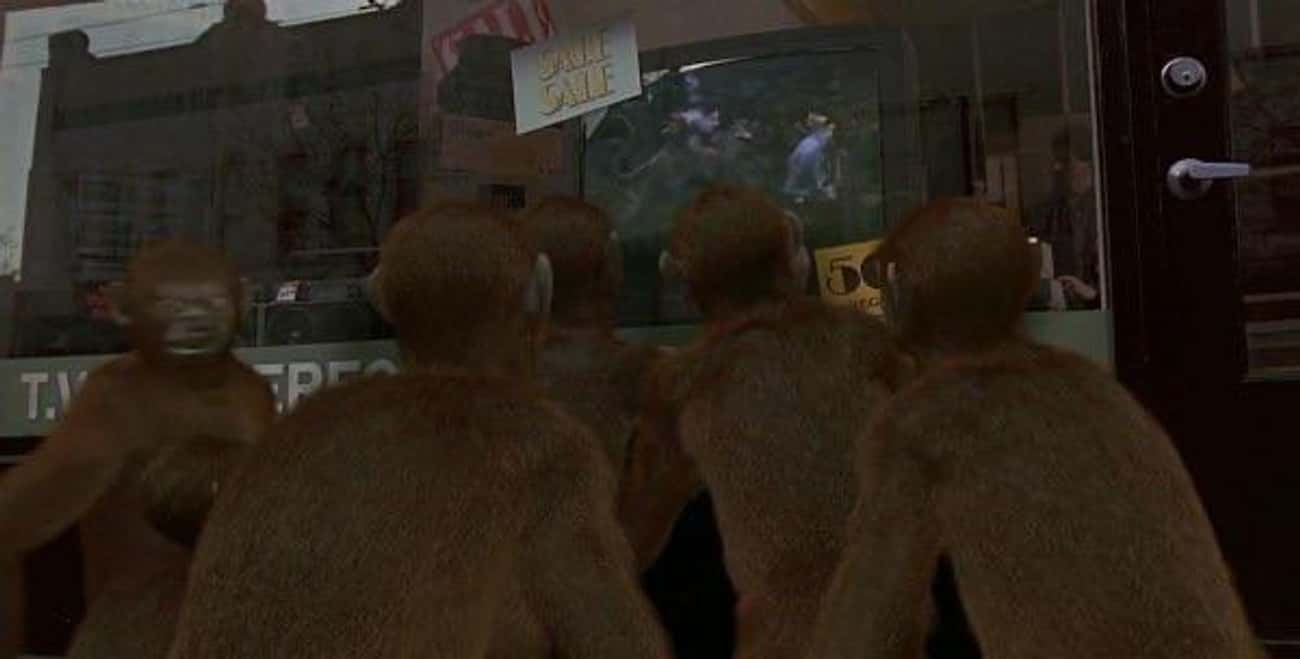 The Monkeys Raiding The TV Shop In 'Jumanji' Watch 'The Wizard Of Oz'