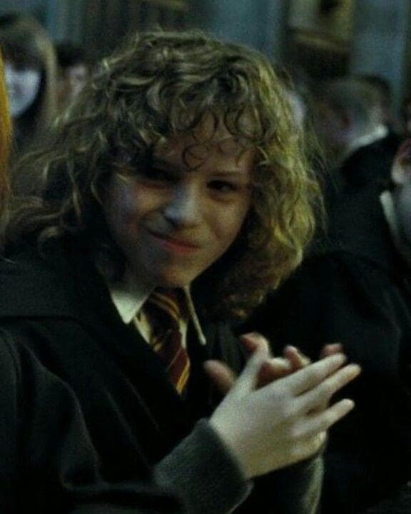 Сириус блэк молодой. Сириус блэк. Гэри олдман сириус блэк. Гэри олдман сириус блэк. Сириус блэк в детстве.