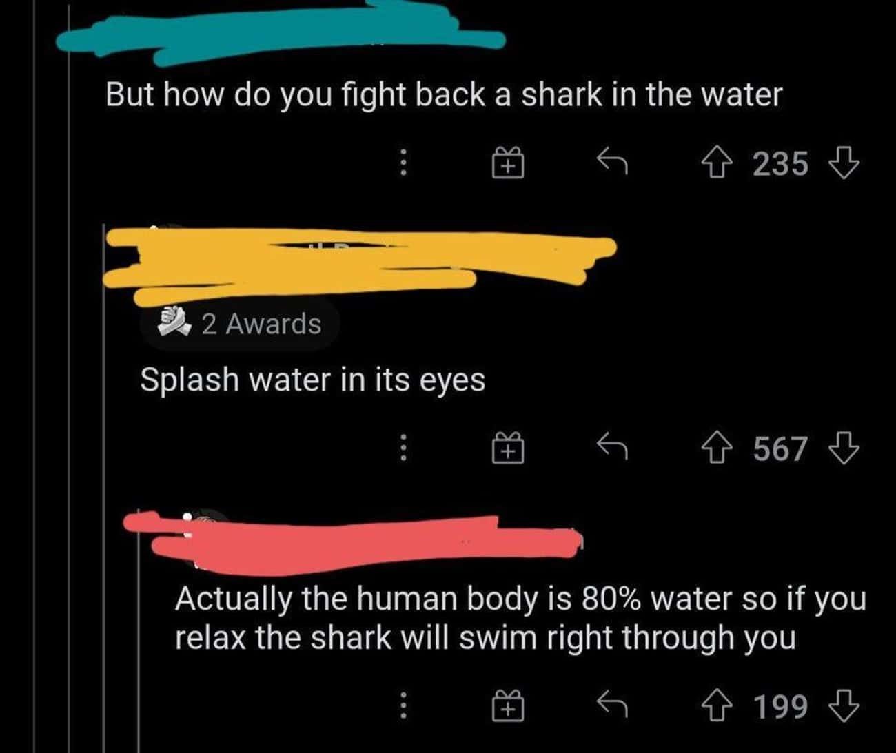 How To Avoid A Shark Attack