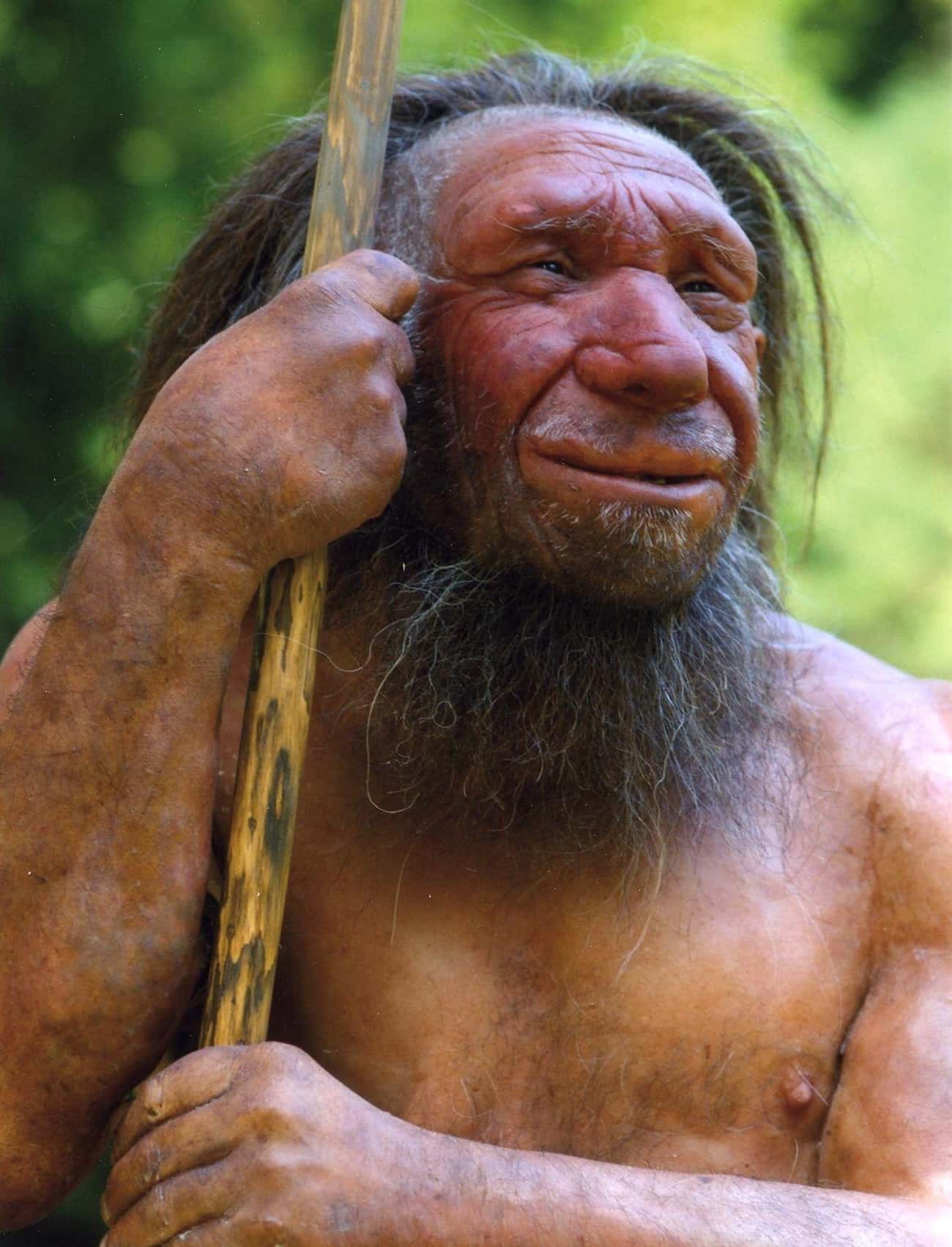 Neanderthals Were Not Inferior To Humans
