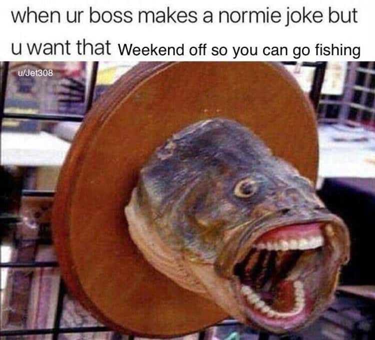 33 Fishing Memes That Had Us Reeling With Laughter