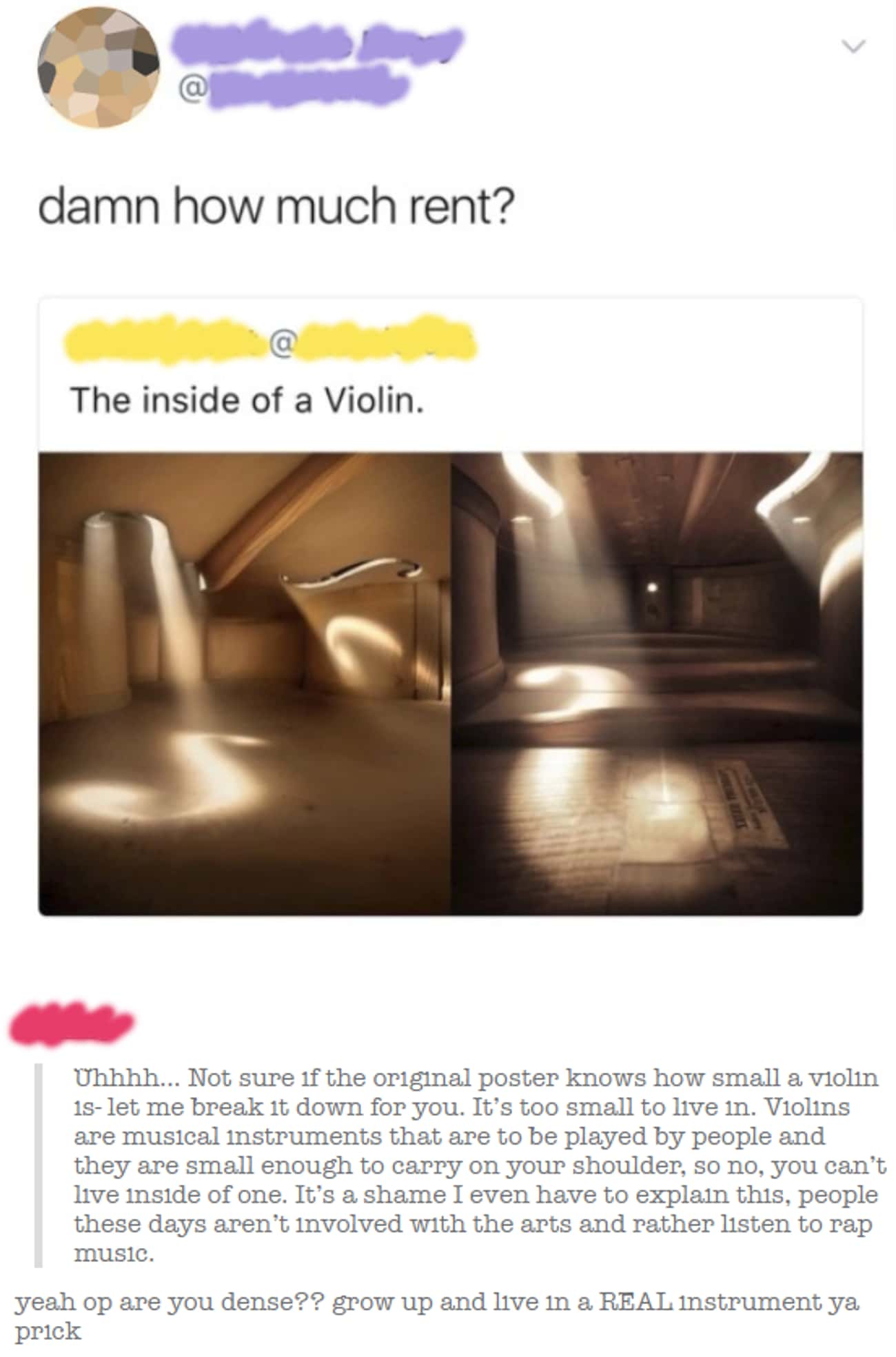 Not Sure If They Know, But You Can't Actually Live In A Violin