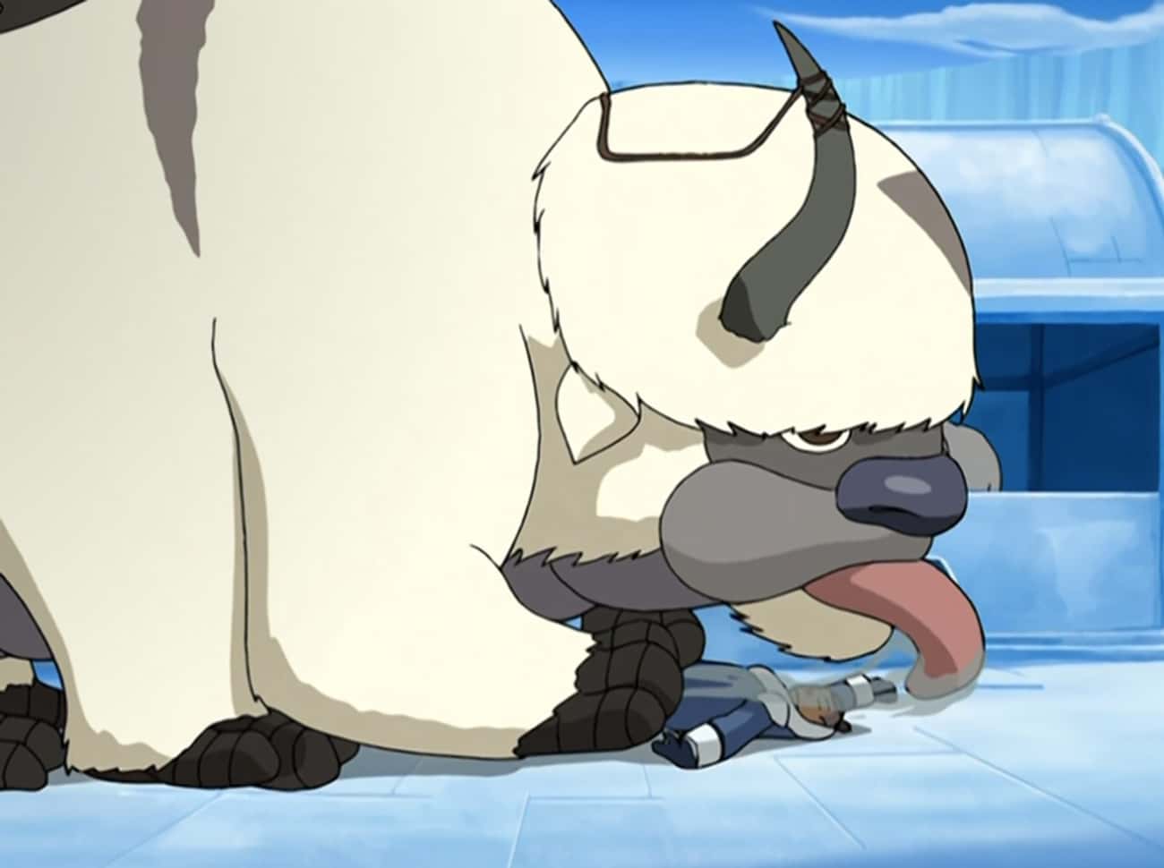 Sokka Isn't Fooling Anyone About His Love For Appa 