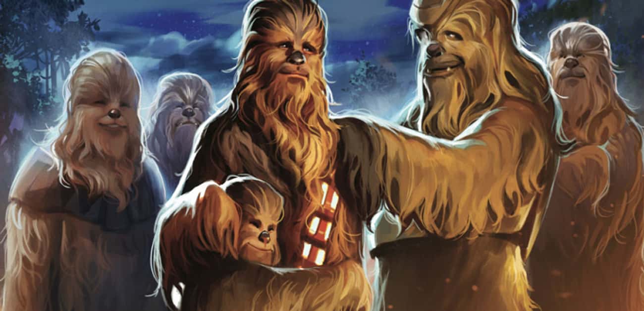 Chewbacca Is Married And Has A Child