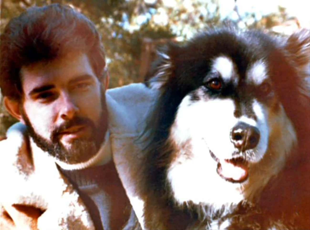 Chewie Was Inspired By George Lucas’s Malamute, Indiana