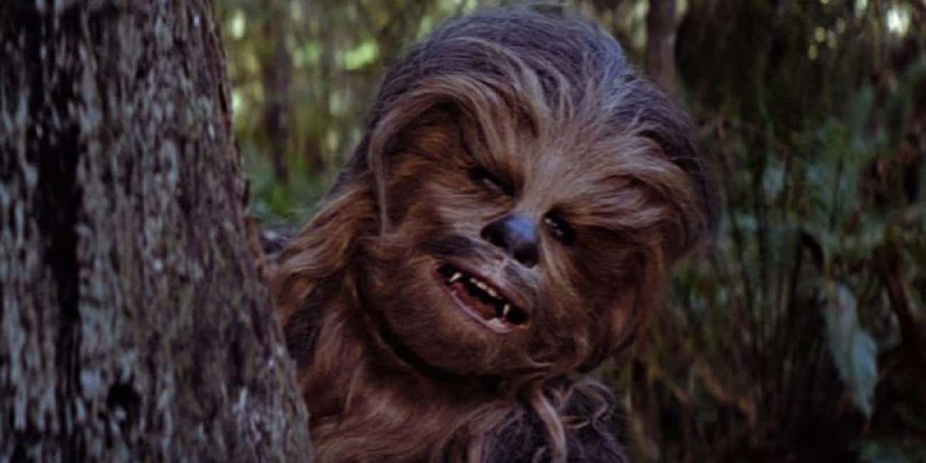 Chewbacca Is Pretty Old In The Original Trilogy