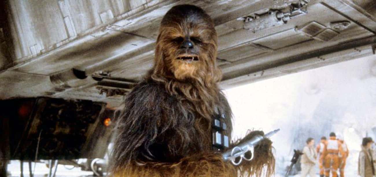 Chewie's Suit Is Comprised Of Different Types Of Animal Hair