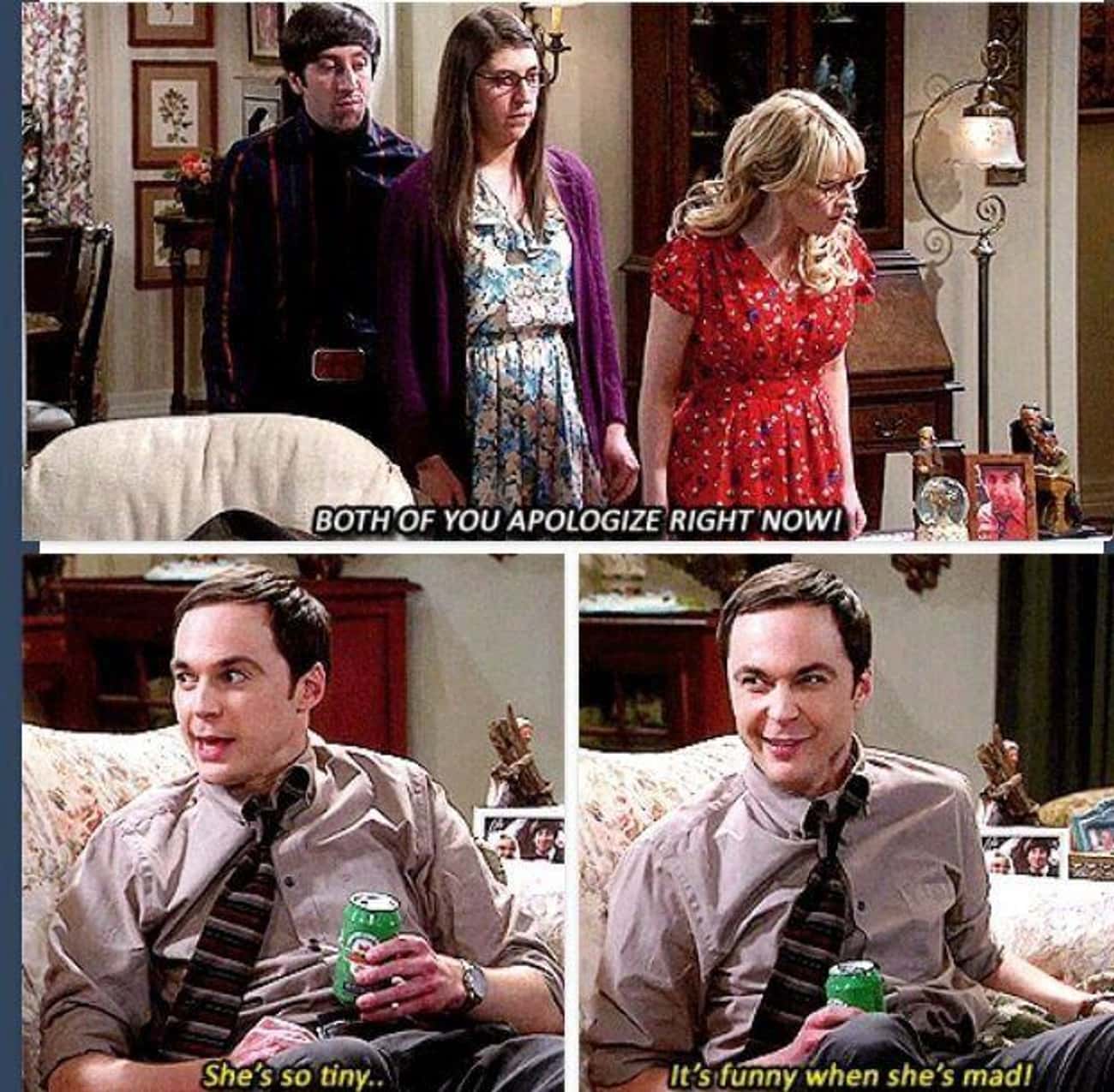 When Sheldon Had A Few Beers On Thanksgiving