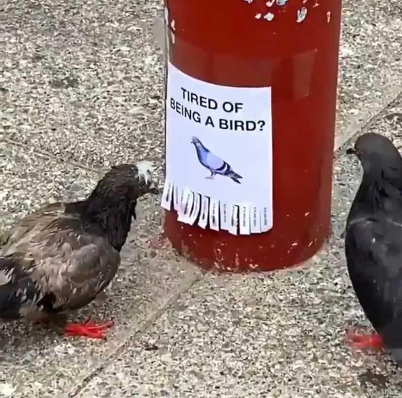 Random Signs That Are Way Funnier Than They Needed To Be | Best Random ...