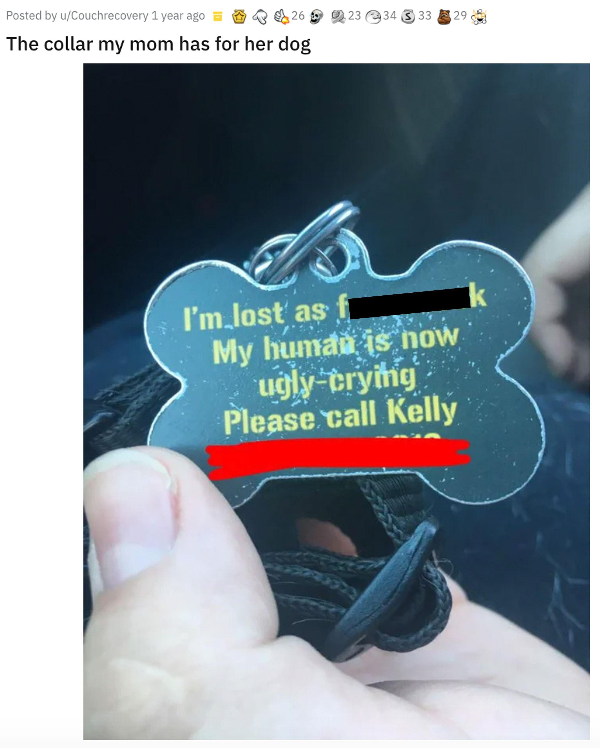 Random Signs That Are Way Funnier Than They Needed To Be | Best Random ...