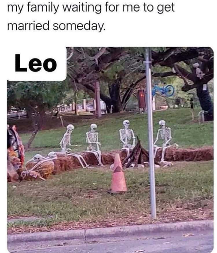 25 Hilariously Relatable Leo Memes