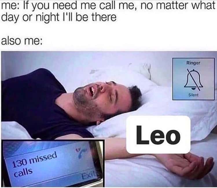 13+ Leo Memes Funny - DedikRosliana