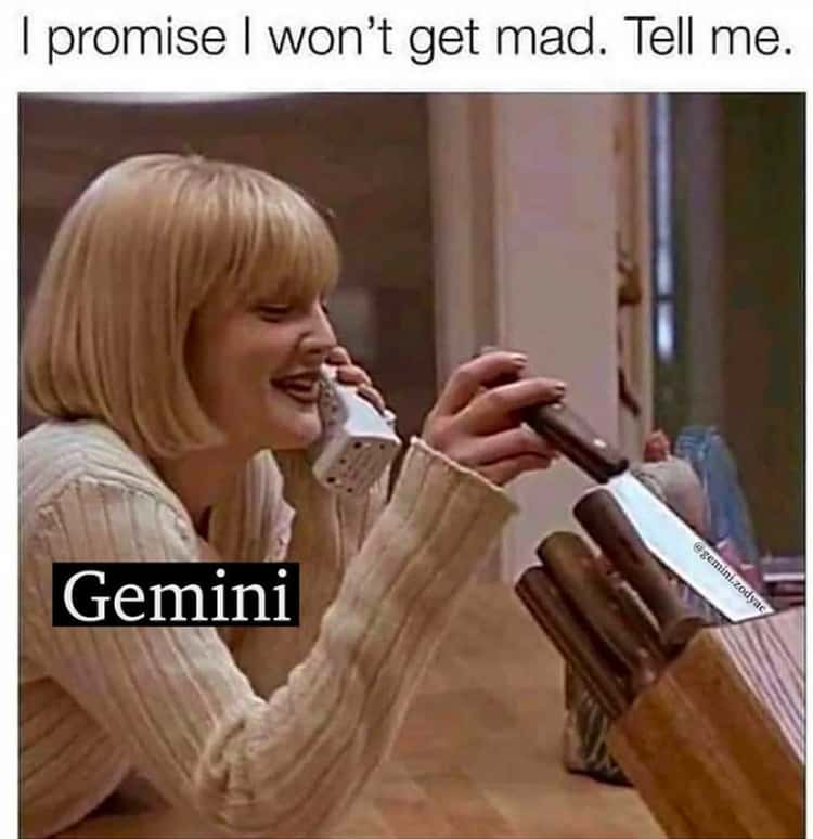 25 Funny Gemini Memes