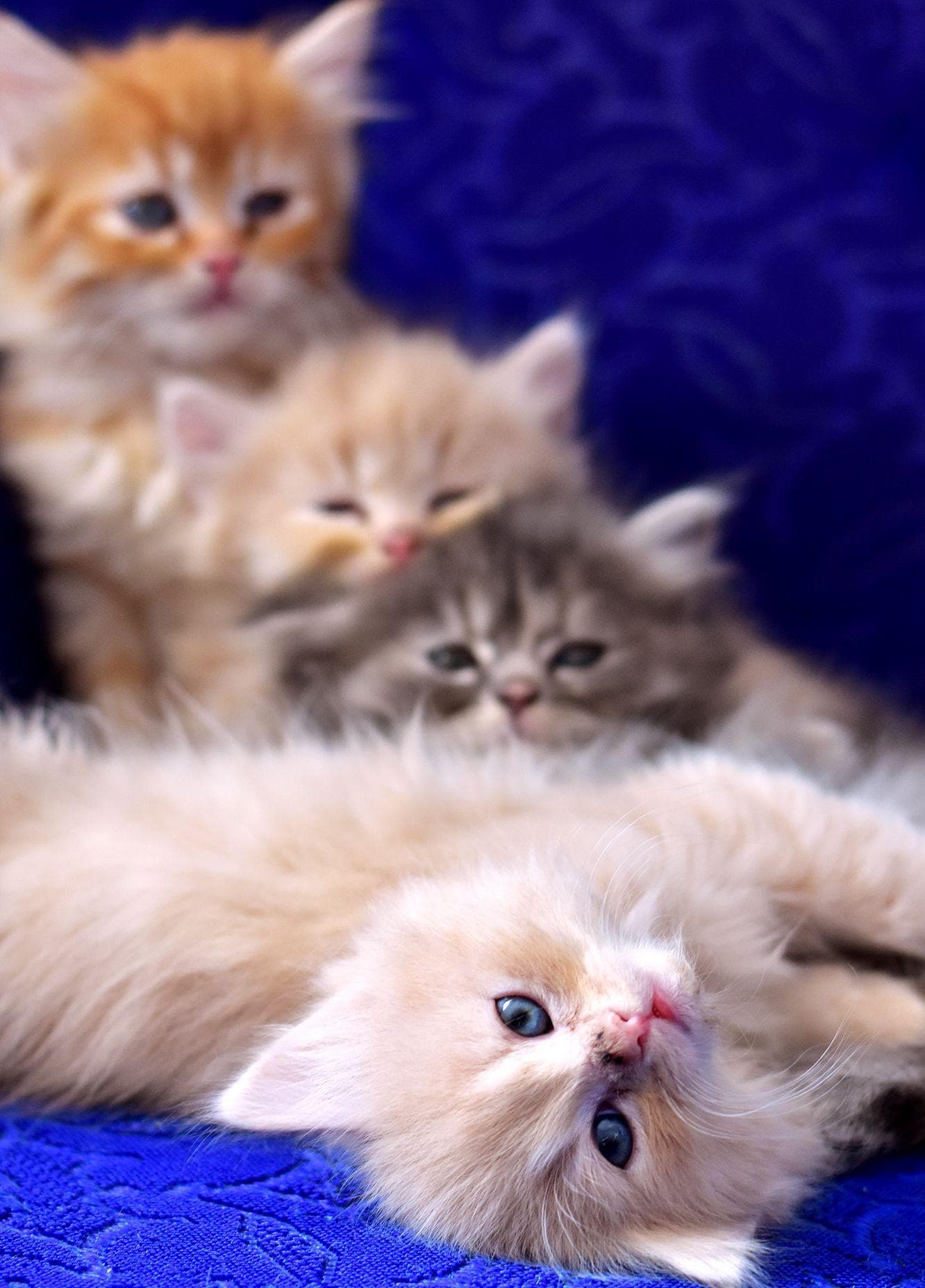 Facts We Can't Believe No One Told Us Before Now Before Now