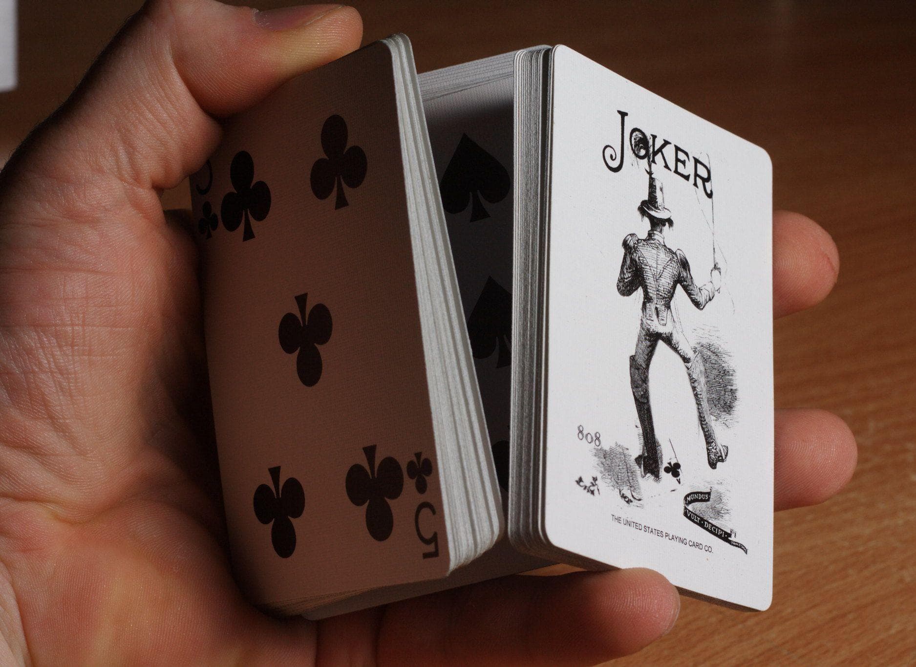 Facts We Can't Believe No One Told Us Before Now Before Now